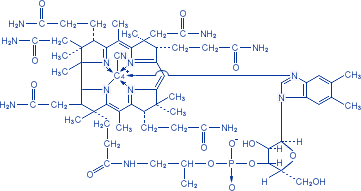 Химическая формула витамина B12 (цианокобаламин)